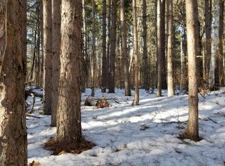 Williams Rd Se, Cass Lake, MN 56633