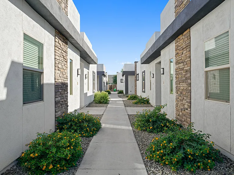 Olive Queen Creek — Photo 20