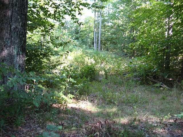 2nd image of 0 Hoxie Road