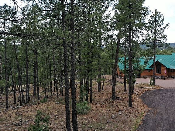 5th image of 395 W Lazy Pine Ln