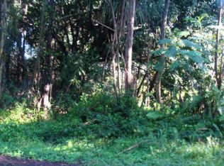 16th Ave LOT 321, Keaau, HI 96749