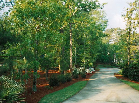 4th image of 105 White Birch Ct
