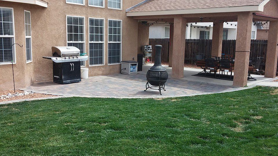 fully landscaped backyard
