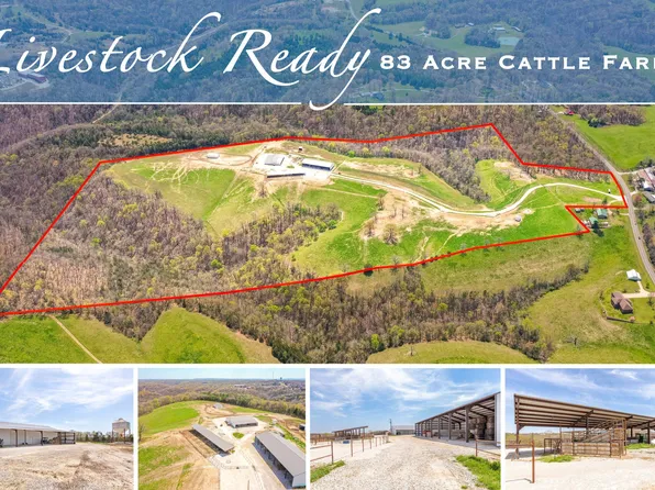 10872 E State Highway 86, Blue Eye, MO 65611