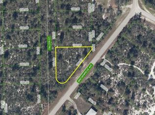 241 Falcon St, Lake Placid, FL 33852