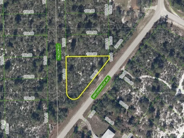 241 Falcon St, Lake Placid, FL 33852