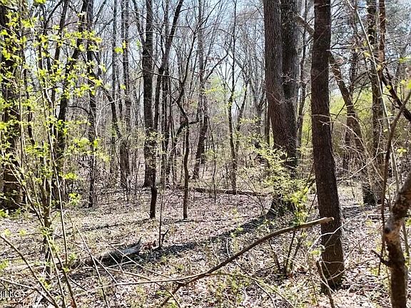 4th image of 0 N Mullins Rd