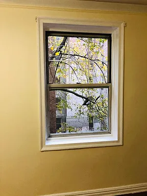 Rented by The Coop Connection LLC | media 3