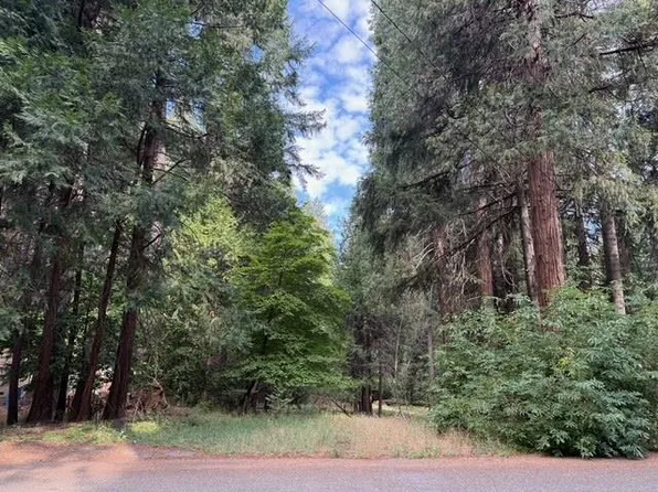 6201 Bucktail Ln, Pollock Pines, CA 95726