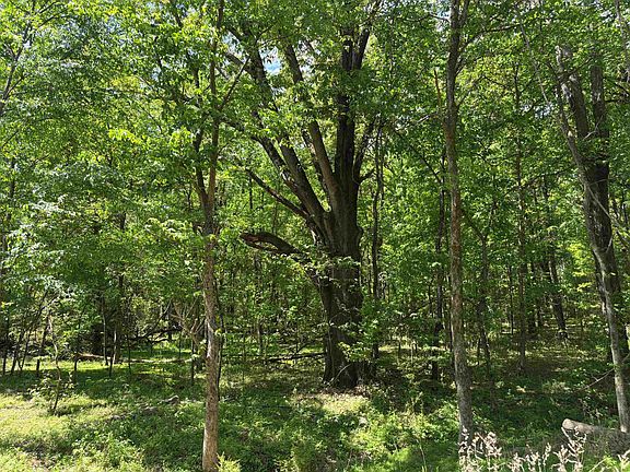 4th image of 0 N Osborntown Rd Tract 2