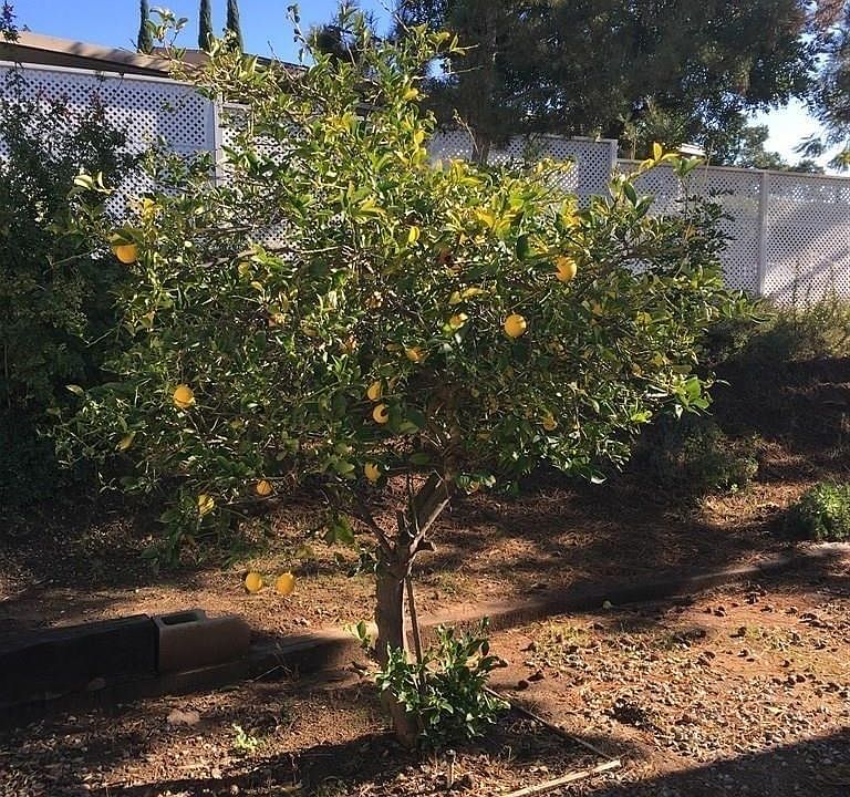 2nd image of 18218 Paradise Mountain Rd Spc 204