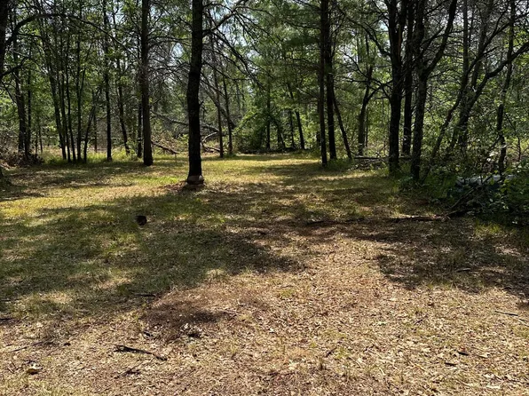 Vl 0 Minneapolis, Idlewild, MI 49642