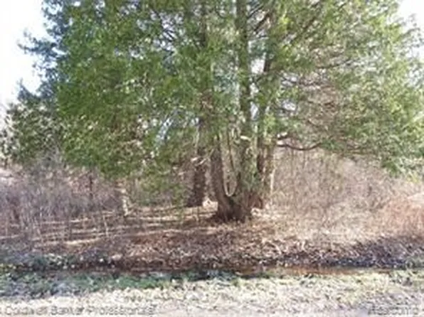 Vl E Lake Dr, Metamora, MI 48455