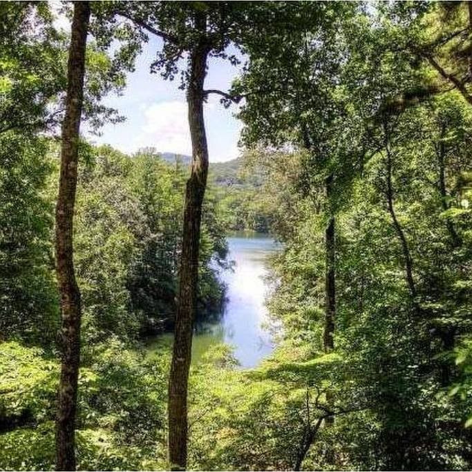 1st image of 15 Mallard Cove Cir