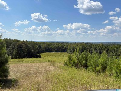 0 County Road 15 #1, Maplesville, AL, 36750