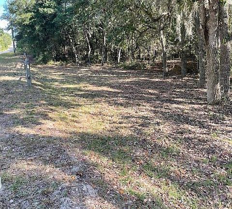 3rd image of 202 GUAVA Avenue