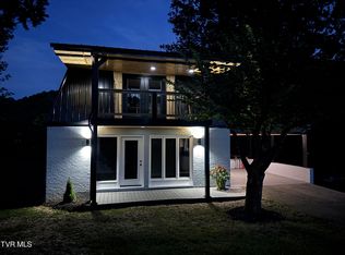 420 Green Brook Cir, Unicoi, TN 37692