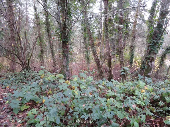 362 3rd Avenue, Fox Island, WA 98333