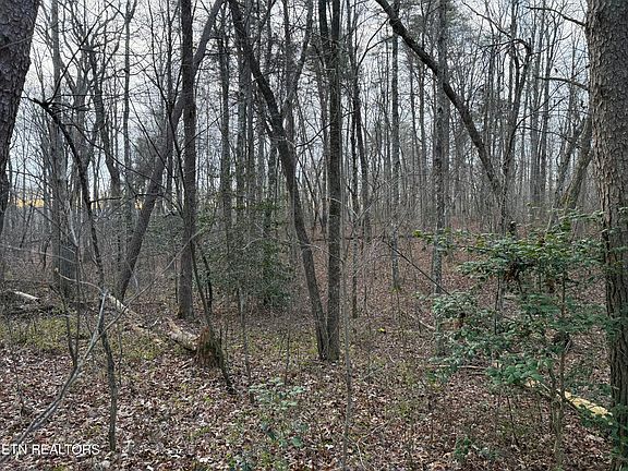 2nd image of N Laurel Loop