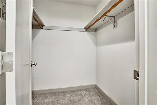 3283 Fronda Dr — Photo 10