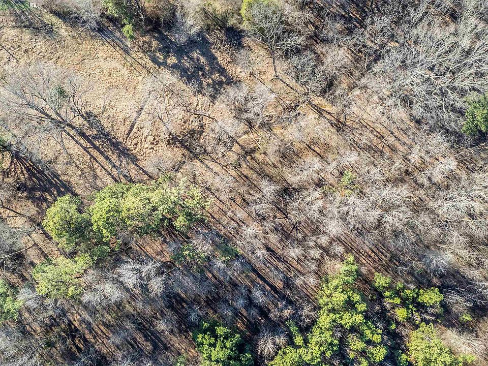 2nd image of 10972 Us Highway 64 #1