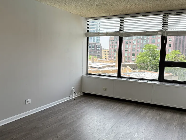3930 N Pine Grove Ave #716 — Photo 14