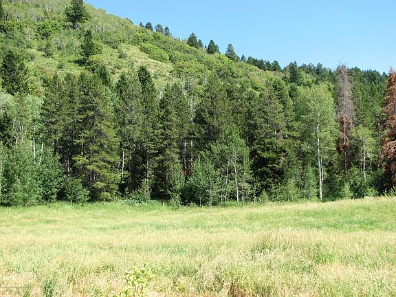5th image of LOT 2 White Moose Cty Road 123 Lot 2