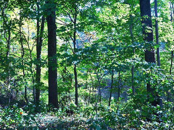 4th image of 744 Wexford Dr