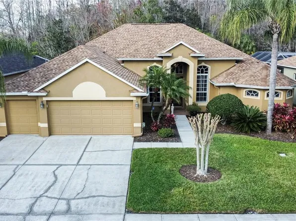 26604 SHOREGRASS DRIVE, WESLEY CHAPEL, FL 33544