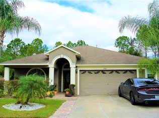 15403 Montilla Loop, Tampa, FL 33625