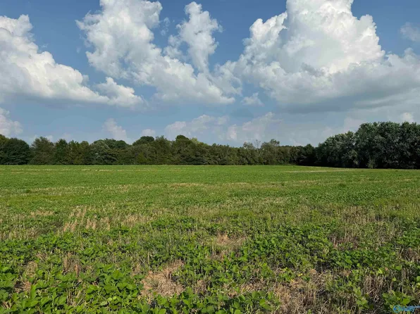 192 Rolan Gooch Rd, Hazel Green, AL 35750