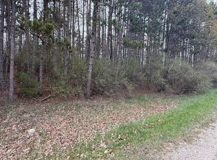 1115 El Camino Grande Dr, Lake Isabella, MI 48893