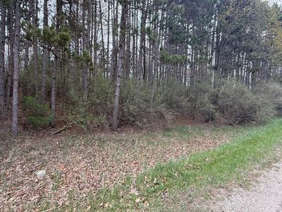 1115 El Camino Grande Dr, Lake Isabella, MI, 48893