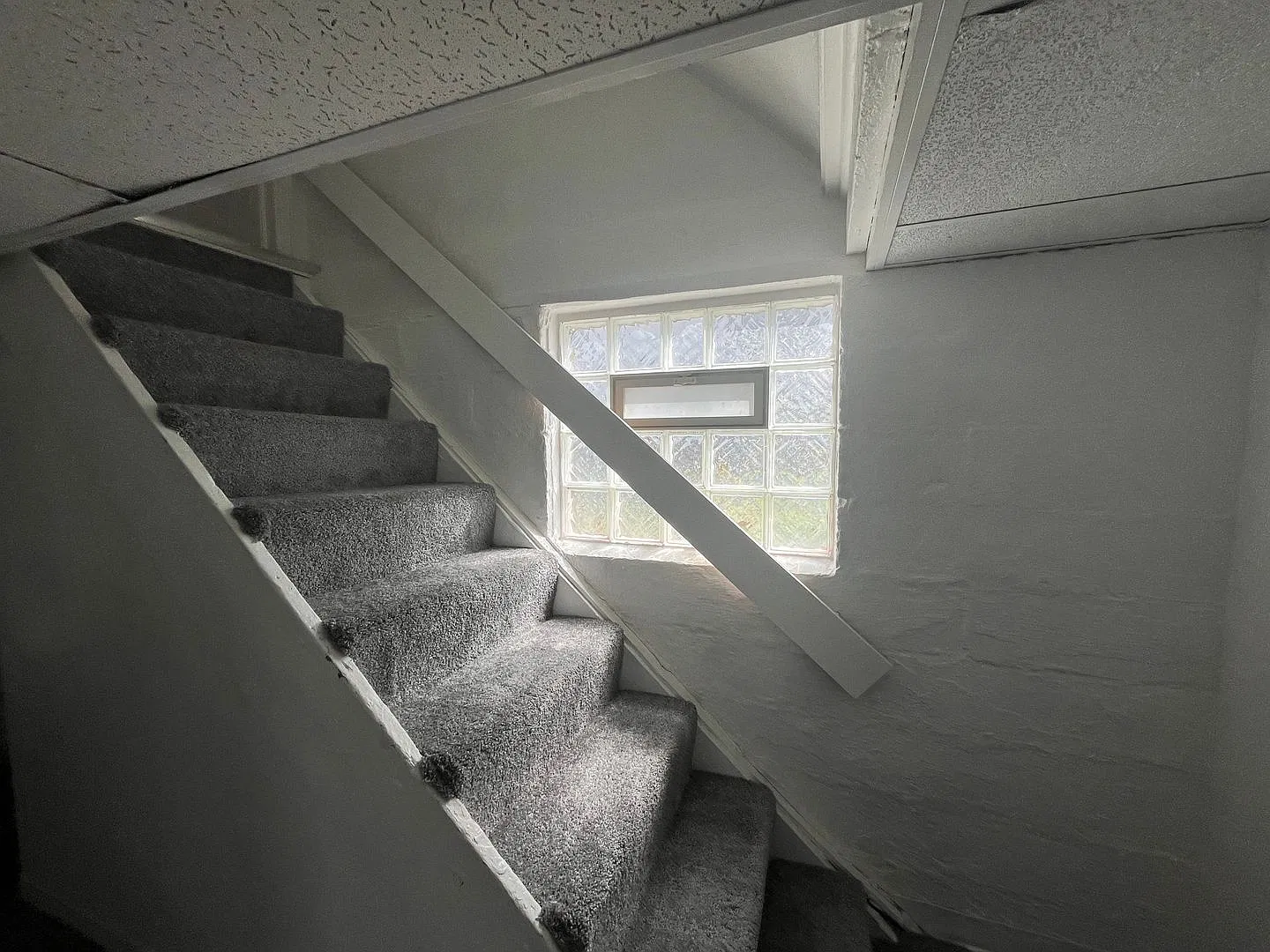 West Boulevard - 3 Bedroom Single Family Home — Photo 4