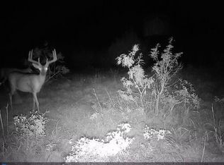 0 County Road 286, Gustine, TX 76455