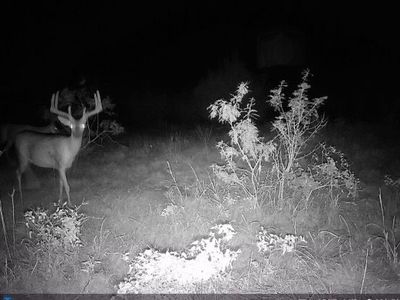 0 County Road 286, Gustine, TX, 76455