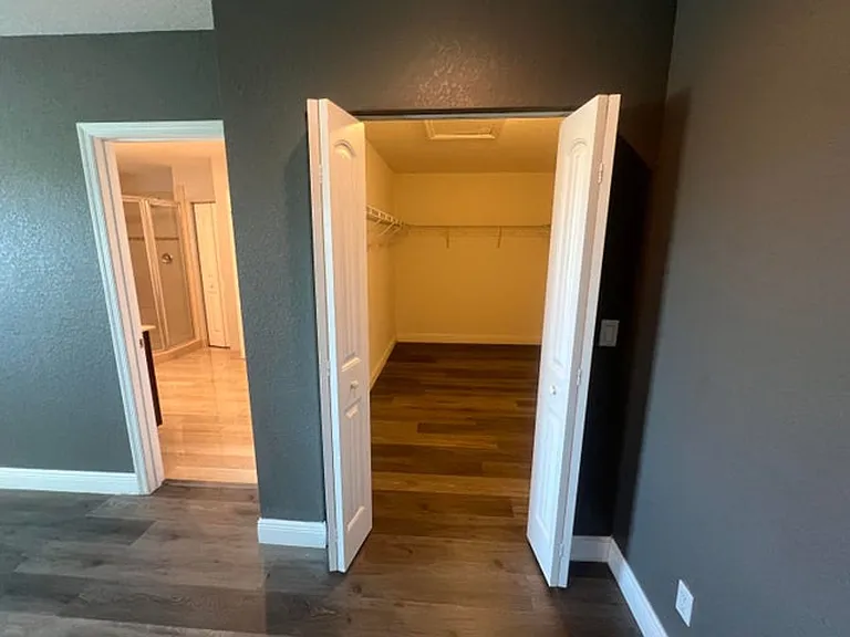 810 Palm Tree Ln — Photo 7