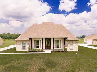 10203 W Robert Wilson Rd, Gonzales, LA 70737