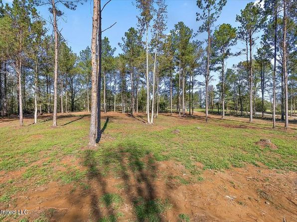 3035 Parsons Rd, Raymond, MS 39154