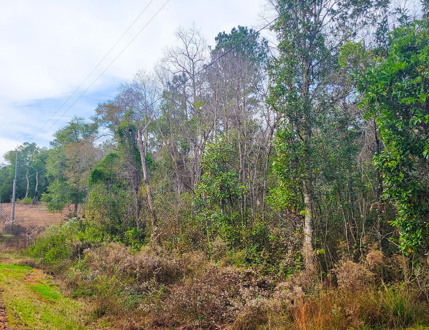 0 W Of Hwy 14, Newville, AL 36353 Zillow