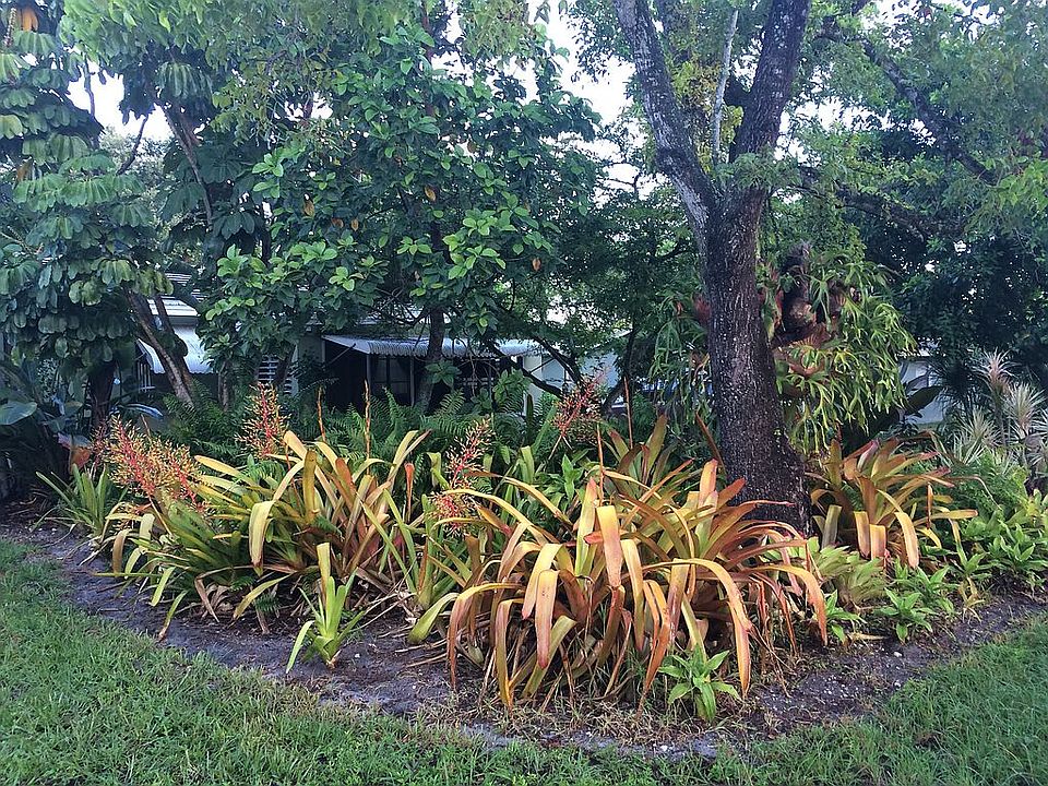 Front garden