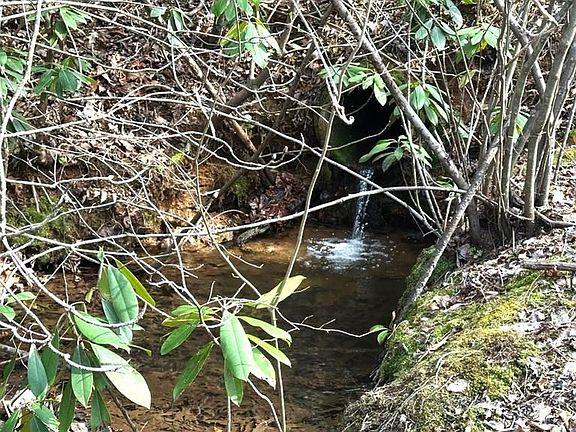 3rd image of Tbd Old Hall Ridge Rd