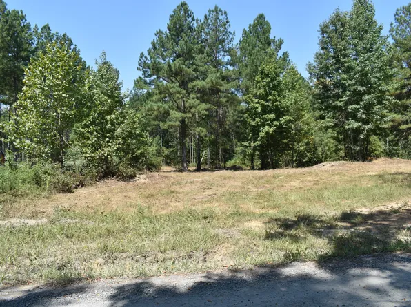 6 Charles Rd, Decatur, TN 37322