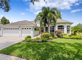 10413 Snowden Pl, Tampa, FL 33626