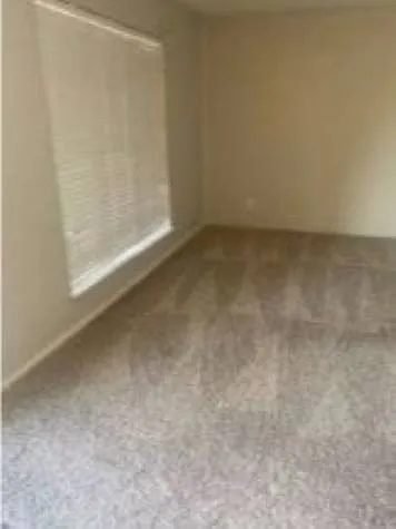 Madeira Apartments — Photo 24