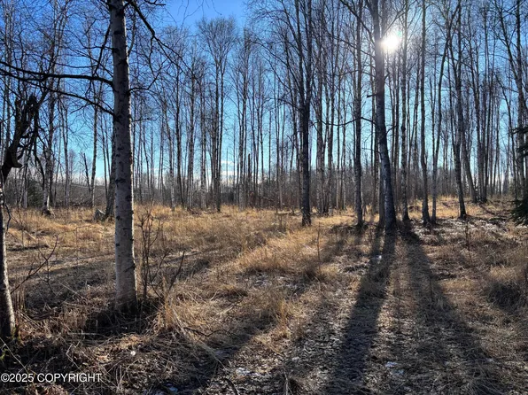 11011 W King Arthur Dr, Wasilla, AK 99623