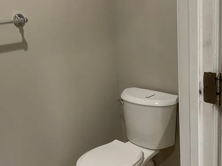 Master bathroom toilet