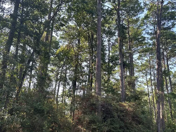 1920 Caldwell St, Livingston, TX 77351