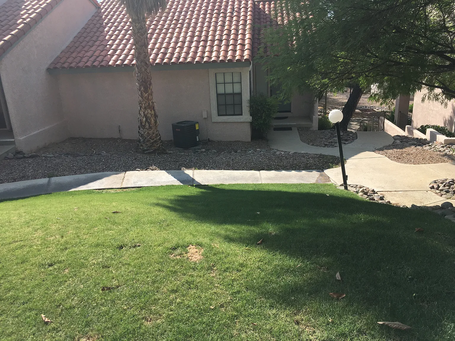 1 bed, 934 sqft, $1,700 — Photo 2