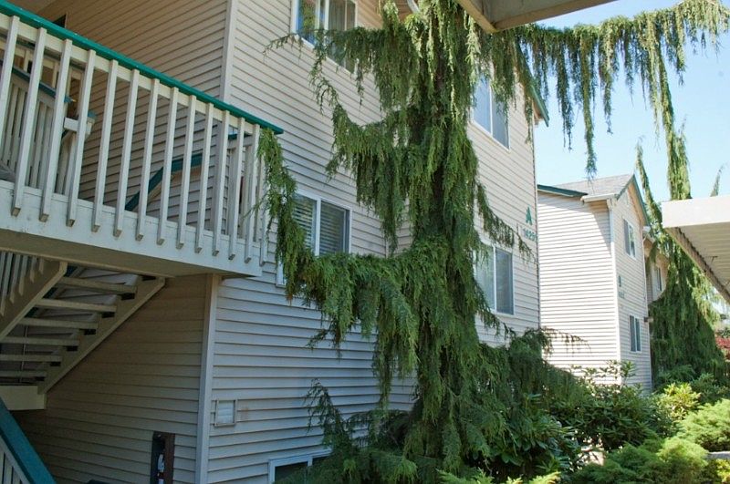 1st image of 14251 73rd Ave NE APT A304